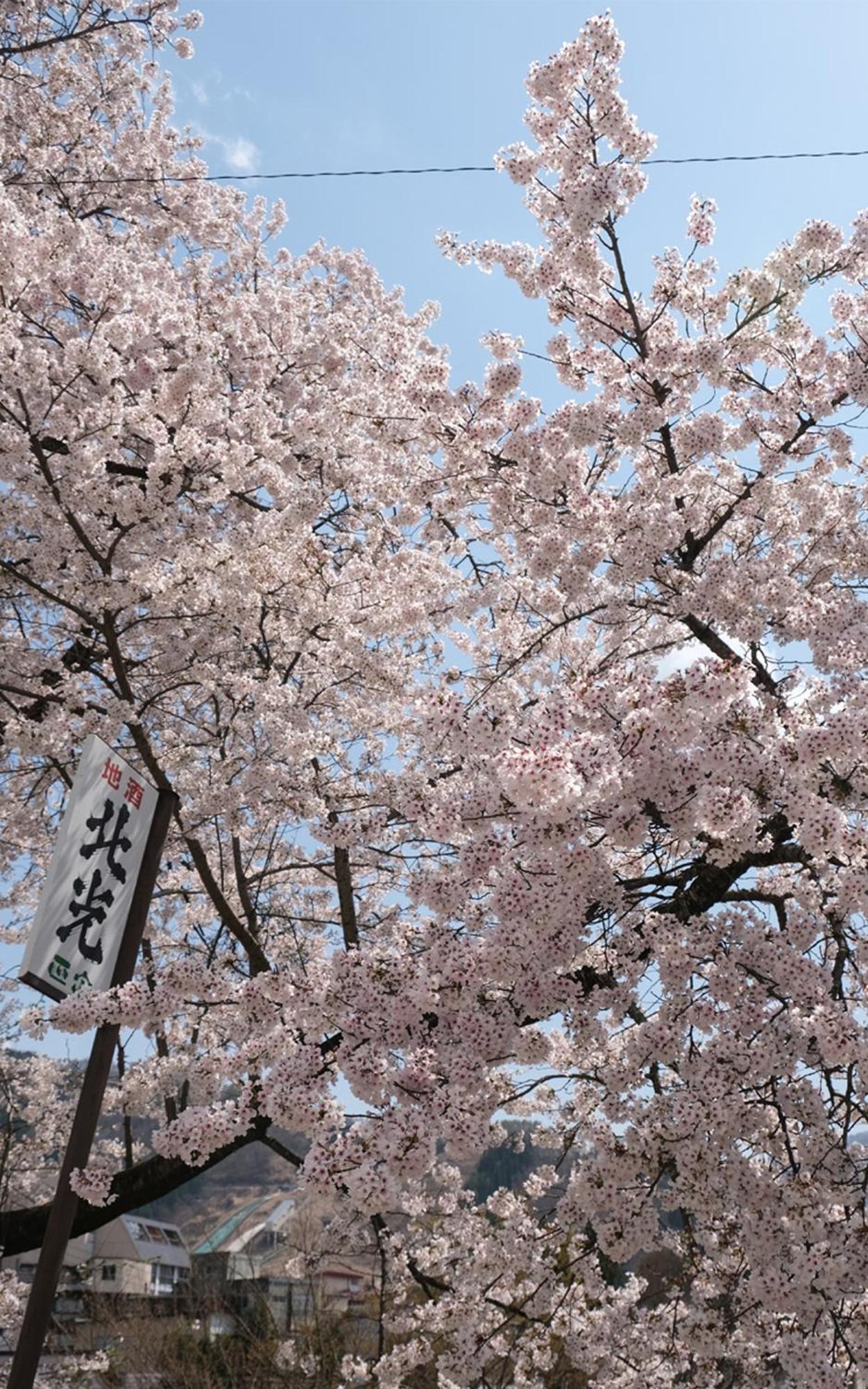 Vaisala * Nozawaonsen